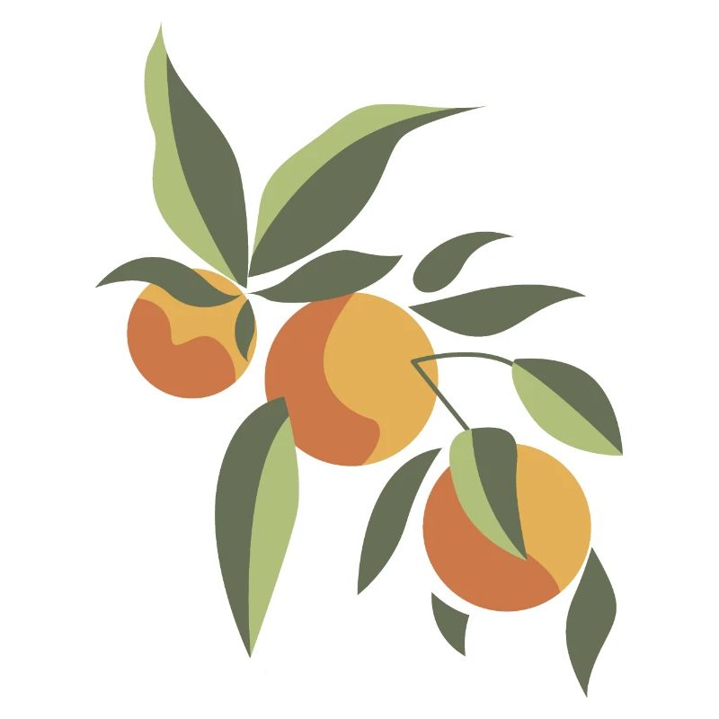 fruit esthétique