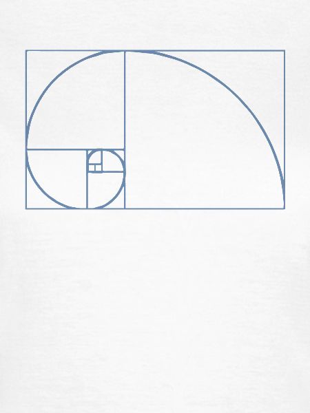 Fibonacci Tshirt