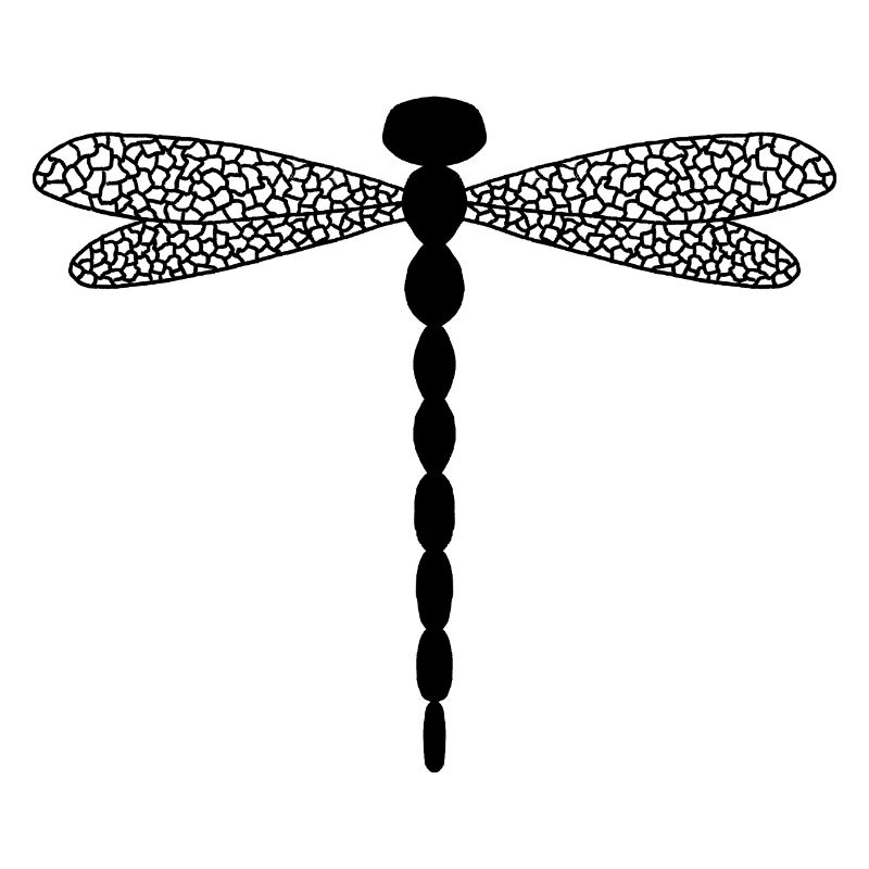 Libellule complexe