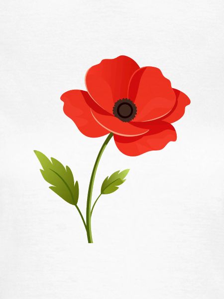 Mohnblume