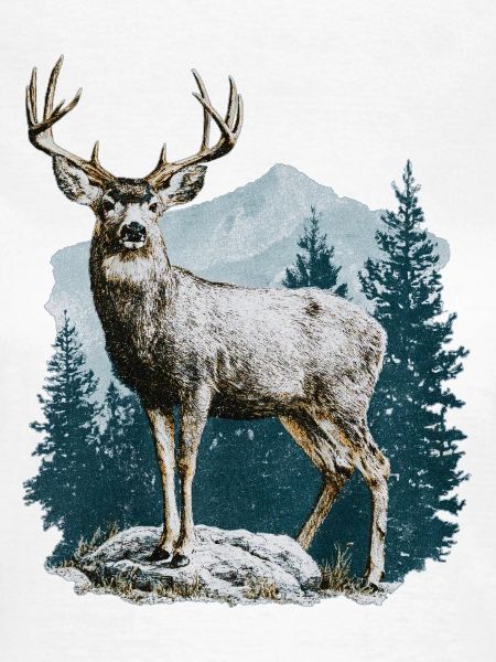Hirsch mit Geweih