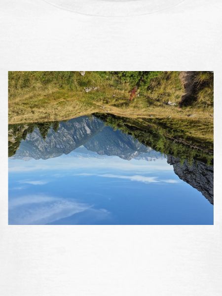 Alpine Panorama