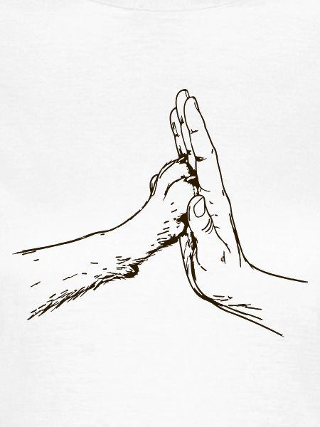 hand-pfote