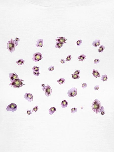 lila Mohn
