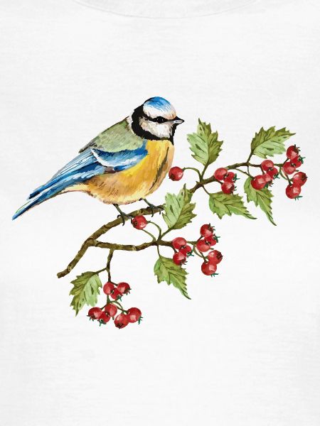 Bunter Vogel