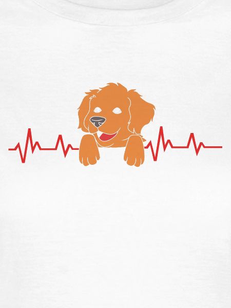 Boykin Spaniel