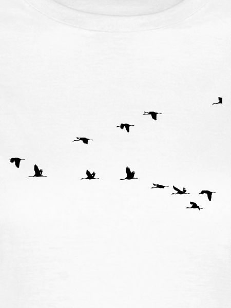 Vögel
