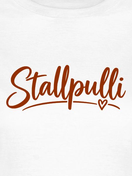 Stallpulli - Pferd - Reiterin - Stall - Pullover