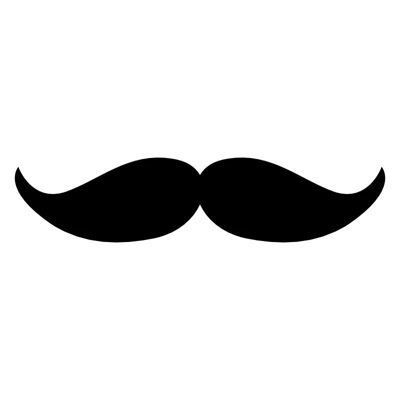 Walrus moustache