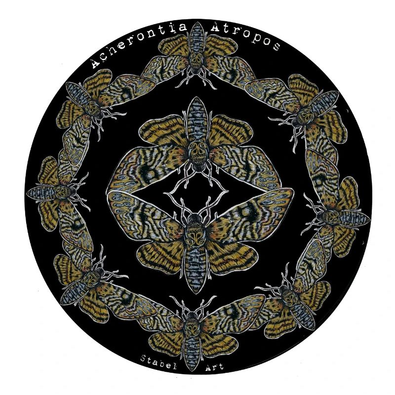 papillon de nuit de la mort