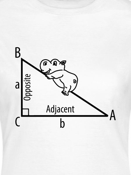 Pythagoras Hippopotamus Nilpferd