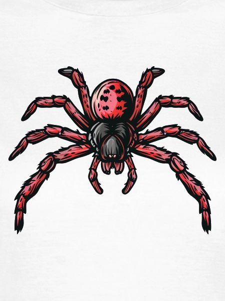 Rote Spinne
