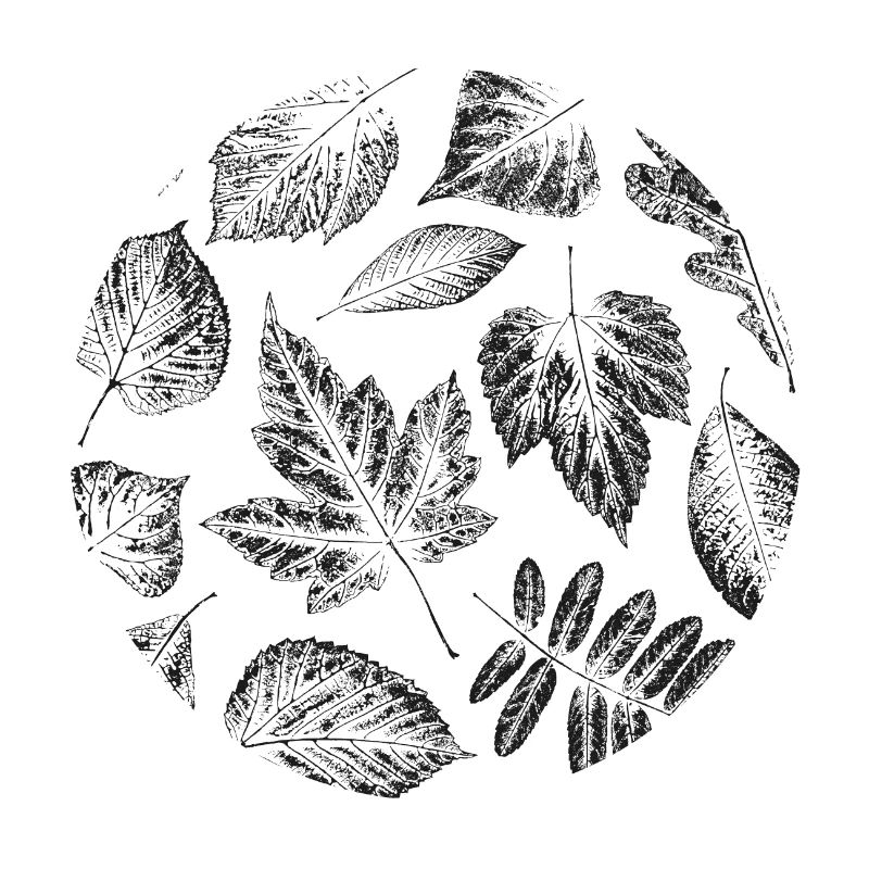 Feuilles d'automne feuillage noir cadeau