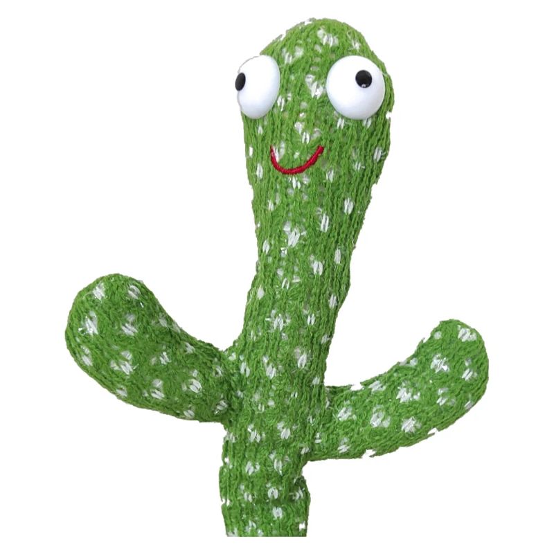 The nice green cactus