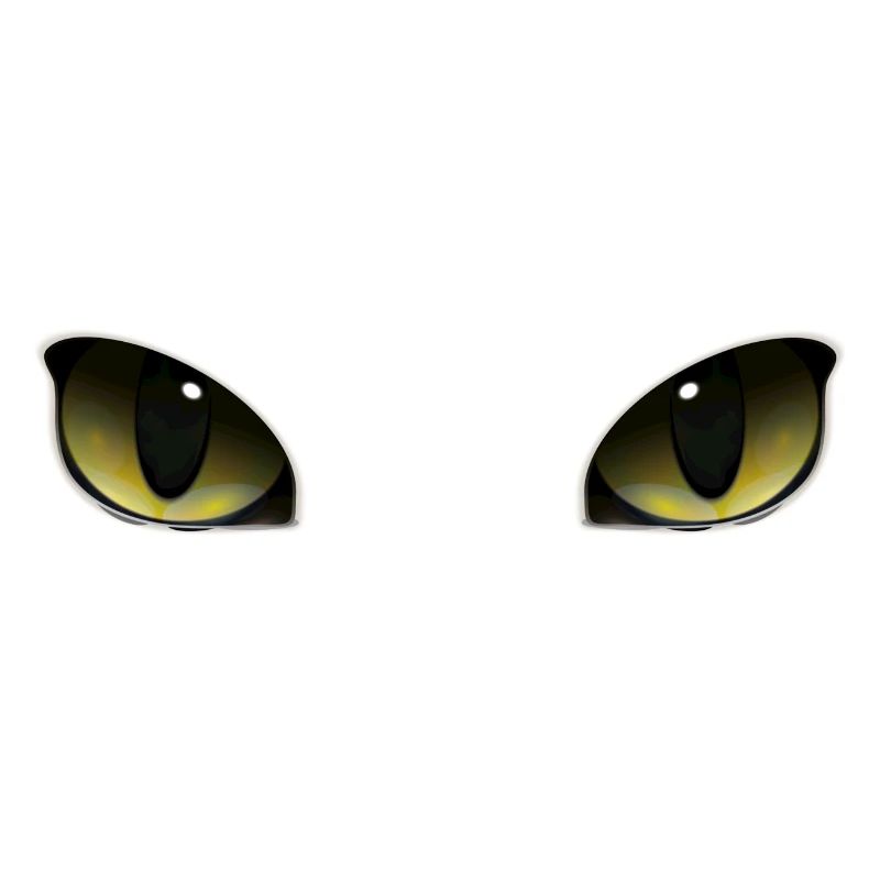 Yeux de chat
