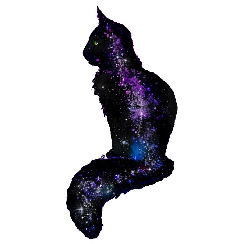 Galaxy Cat