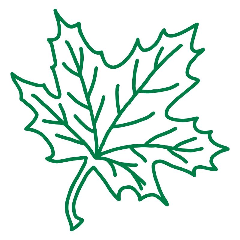Feuille d'érable