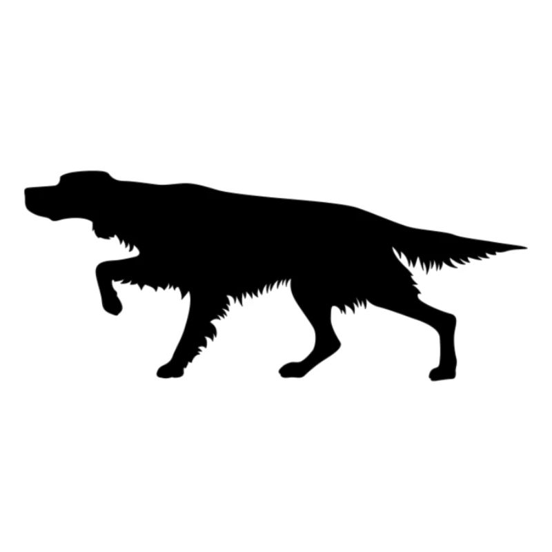Irish setter