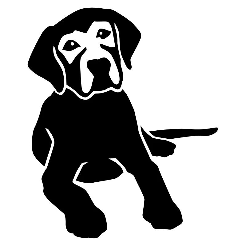 Labrador