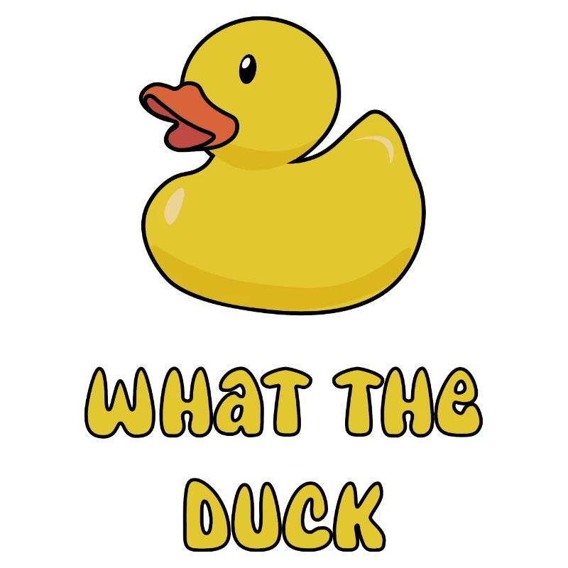 Qu’est-ce que le canard