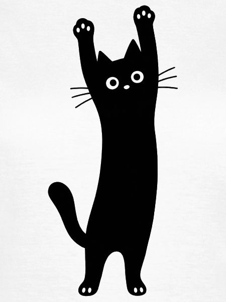 Schwarze Katze Streckpose