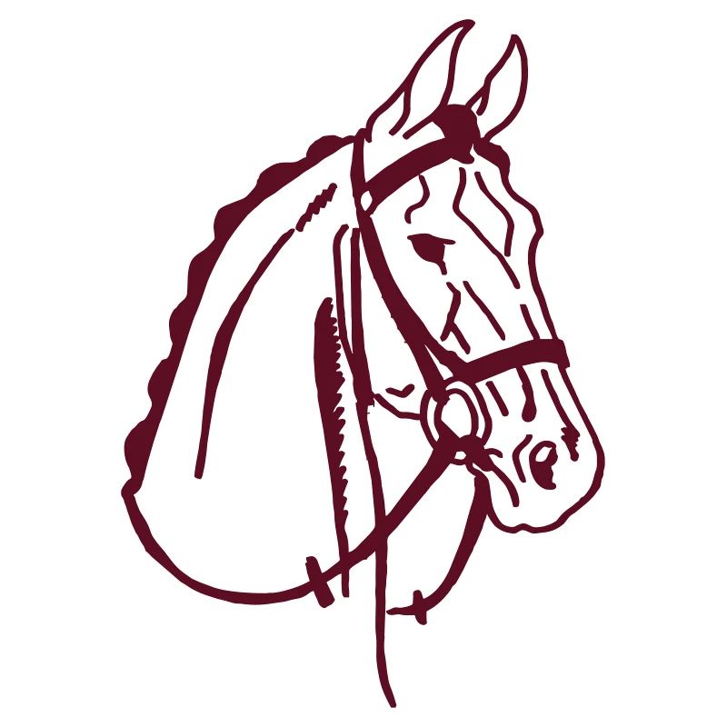 Cheval de selle