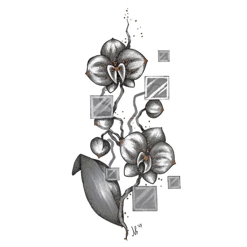 Orchidee