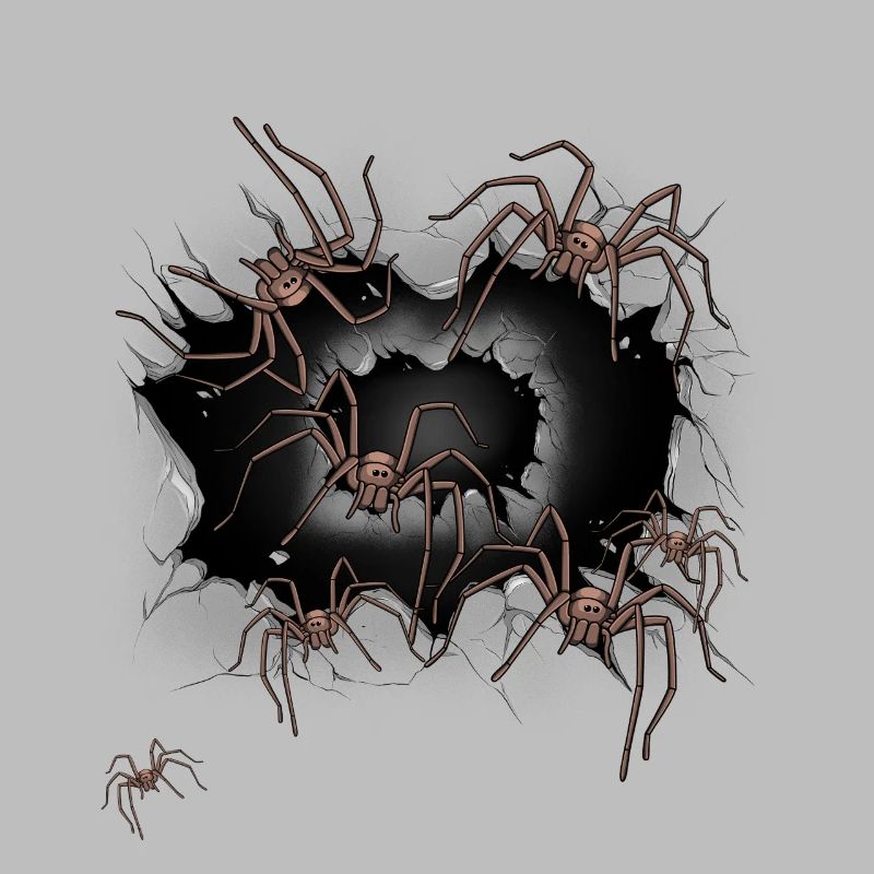 Spider Spiders Halloween