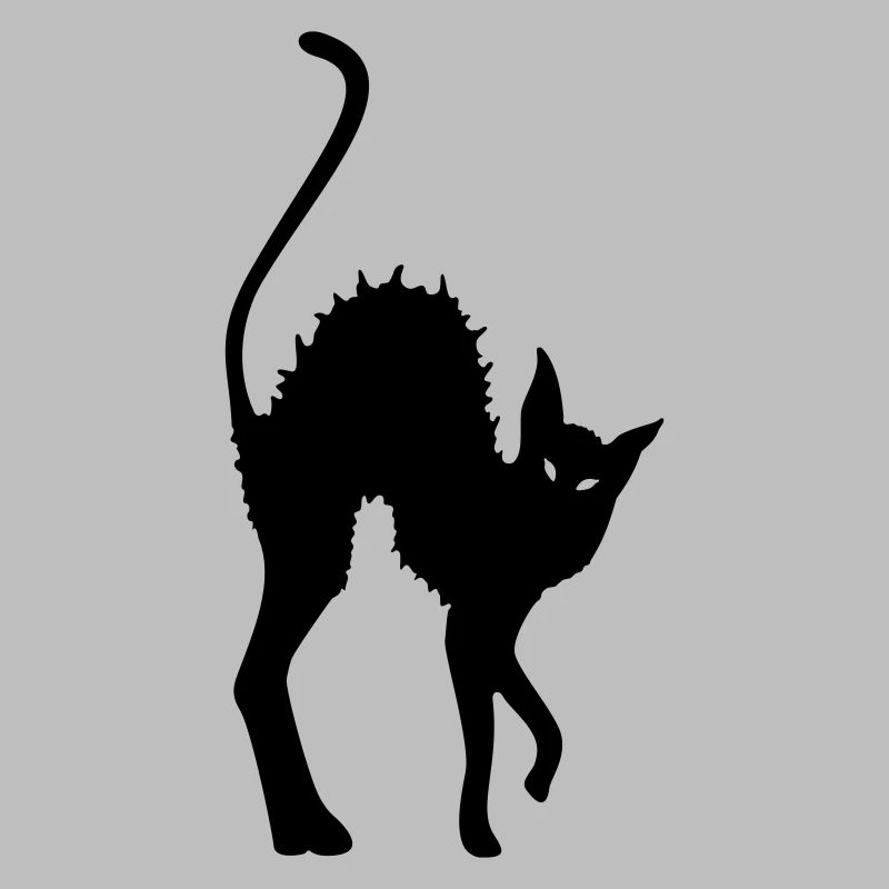chat, chat noir, gothique, magie, wicca, sorcière,