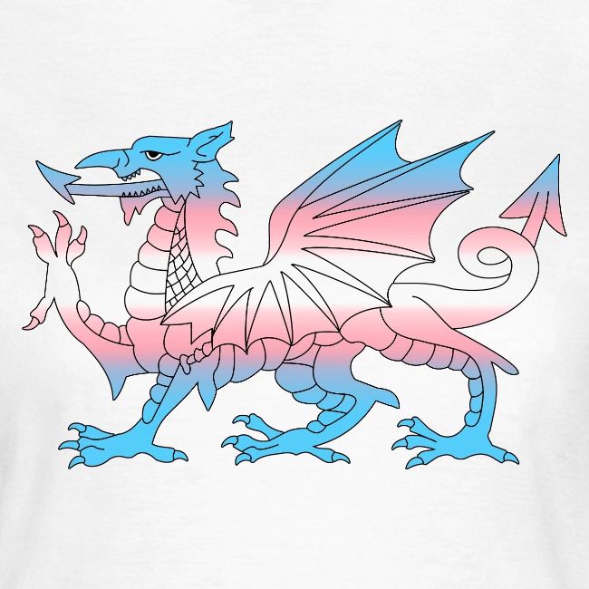 Wales Trans Flag, Baner Trans Cymru, Transgender