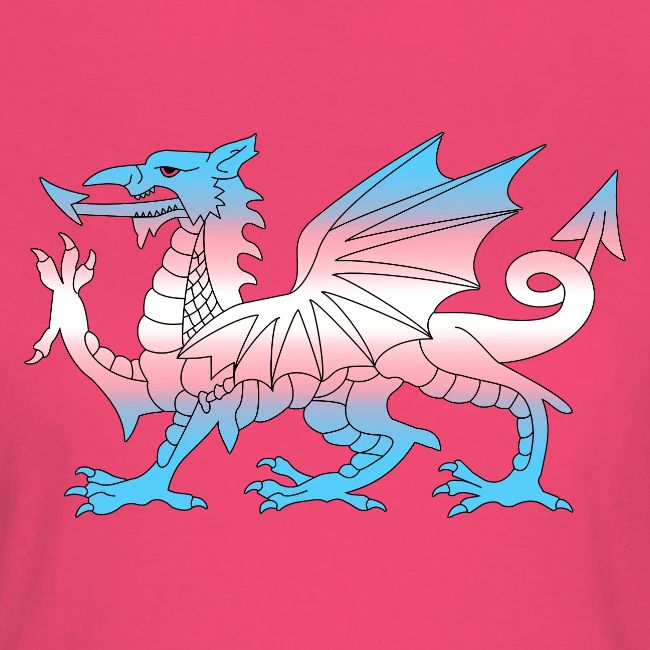 Wales Trans Flag, Baner Trans Cymru, Transgender