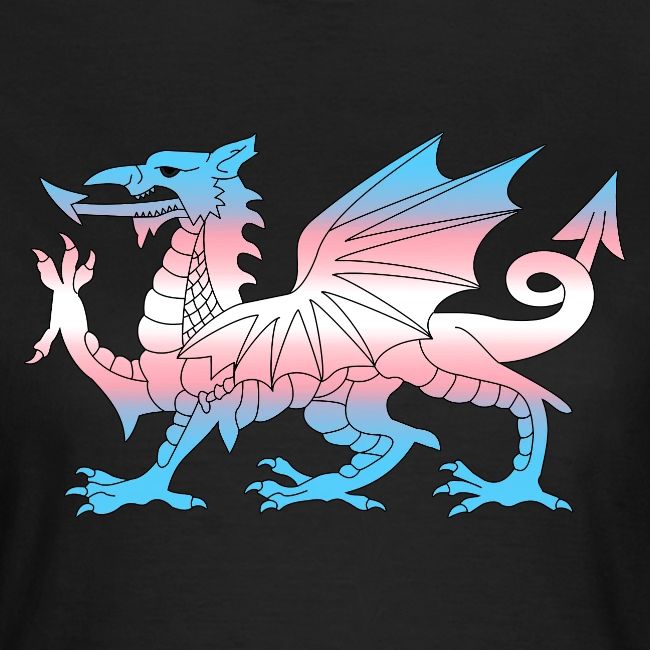 Wales Trans Flag, Baner Trans Cymru, Transgender