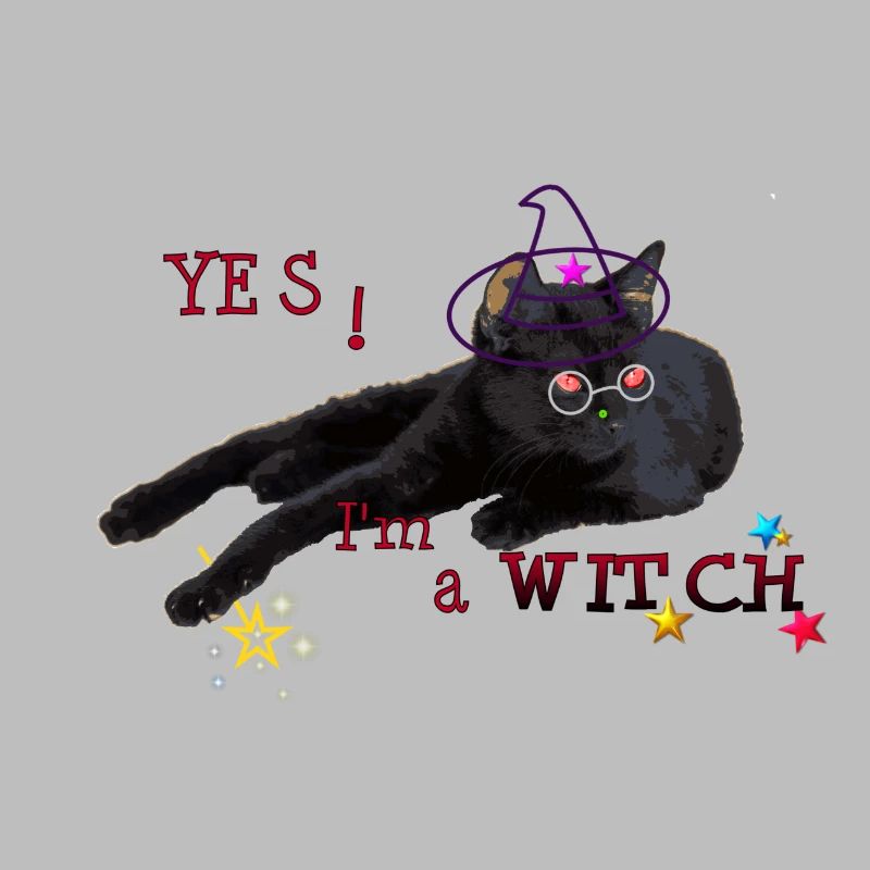 chat noir witch