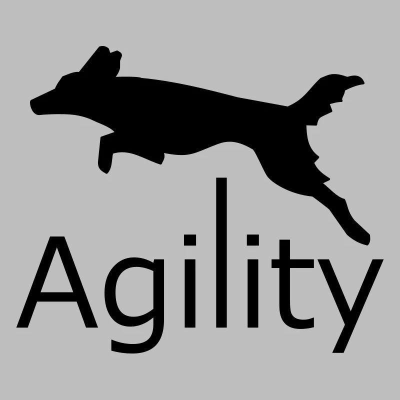 Agilité