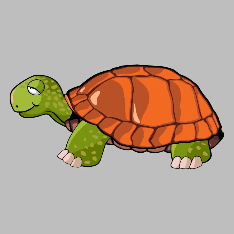 turtle drawing
