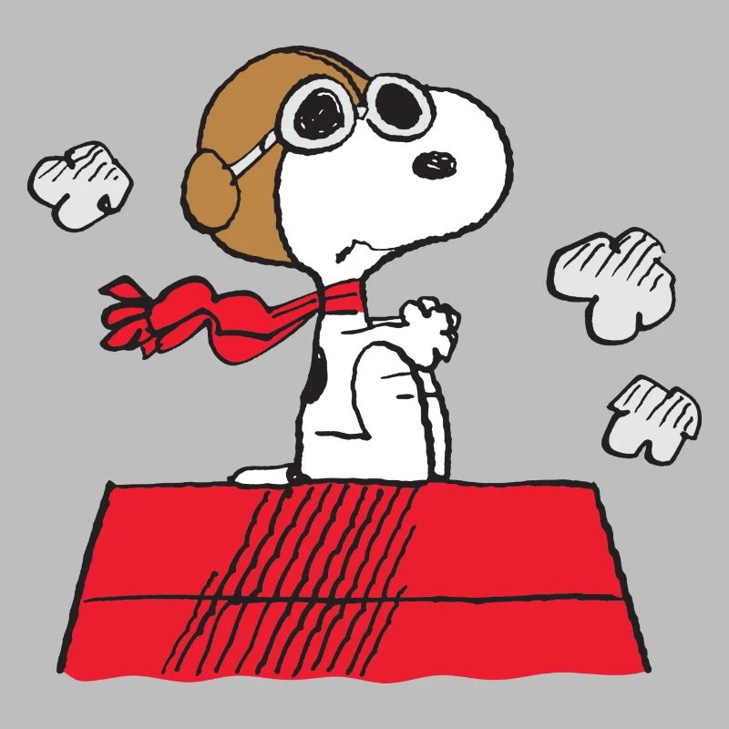 Peanuts Snoopy Pilot