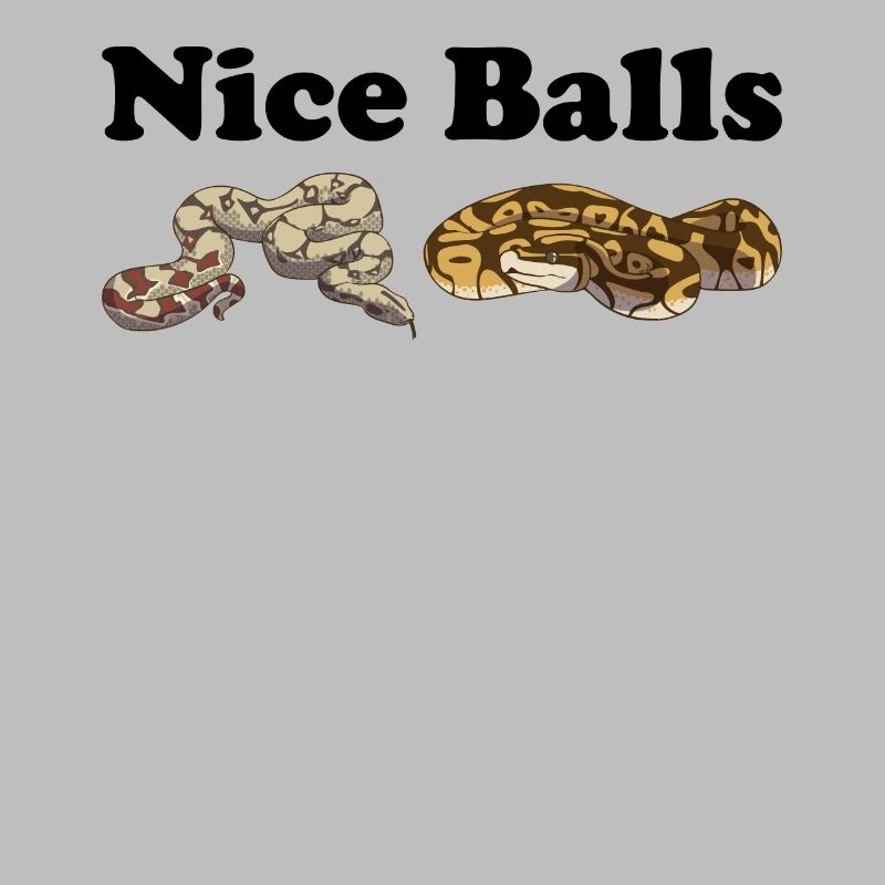 Funny Ball Python Snake