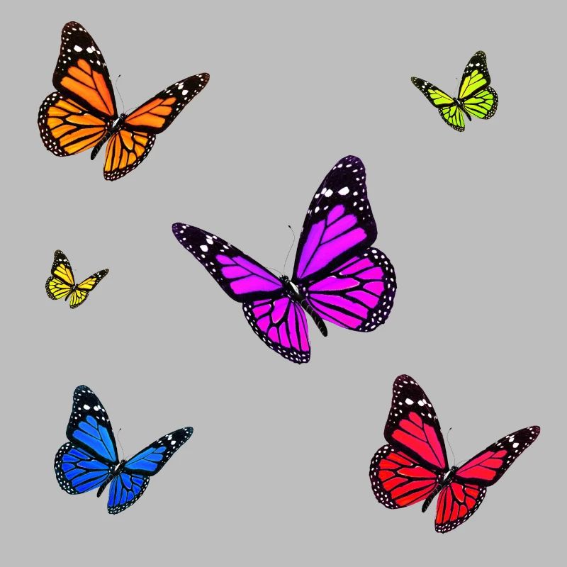 Ensemble papillon monarque multicolore
