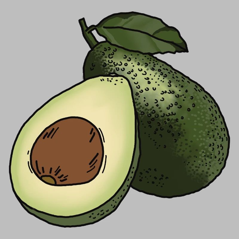 Avocat