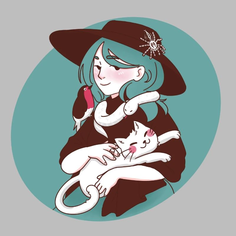 Witch with Heteroscodra Maculata / Marble Bird Spider