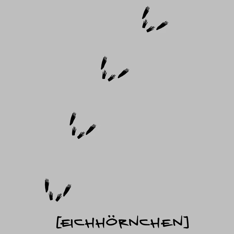Eichhörnchen Spur