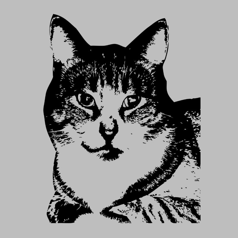 Chat, dame de chat, tête de chat, amants de chat, chat