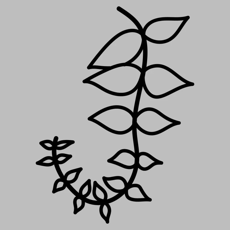 feuille