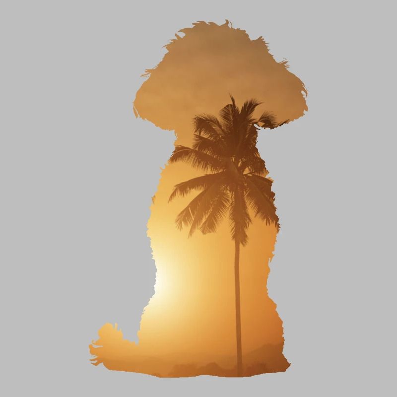 Plage d’été - Caniche