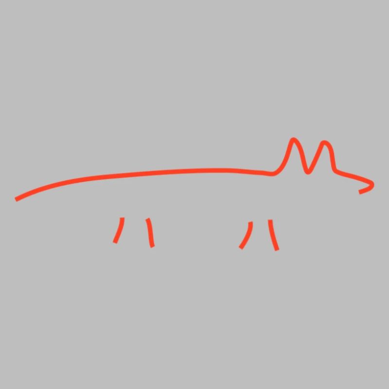 red fox