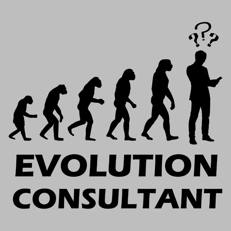 Evolution Consultant Consultant Auditor