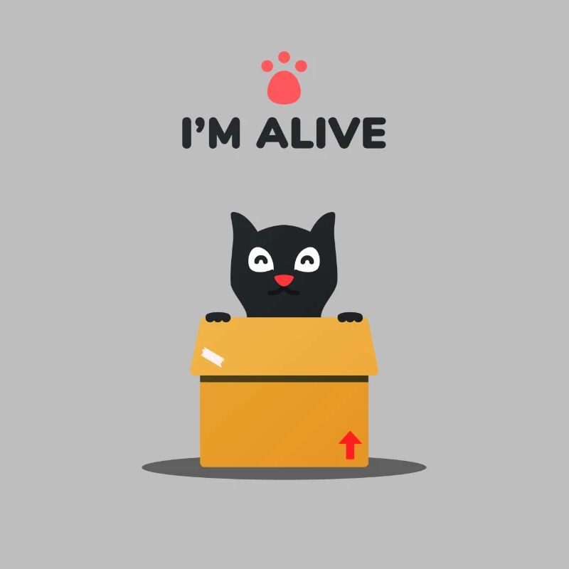 Schrödinger's cat funny saying physics knowledge c
