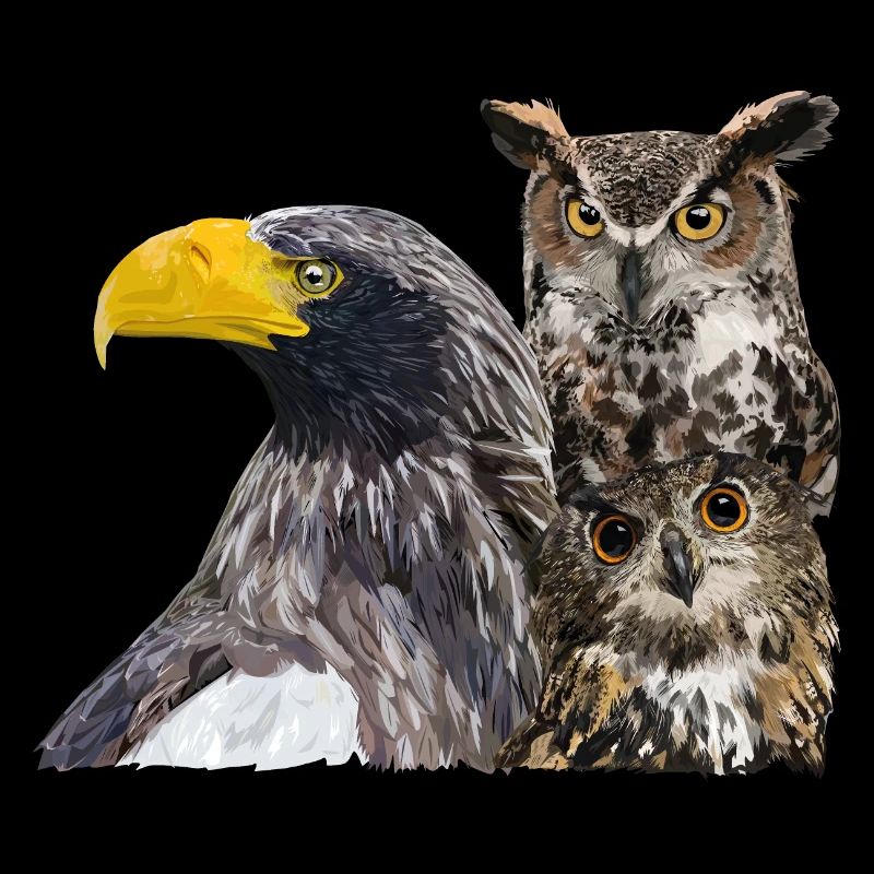 Oiseaux de proie