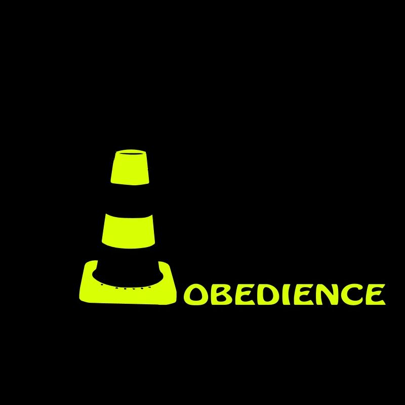 Obedience Herder circles pylon