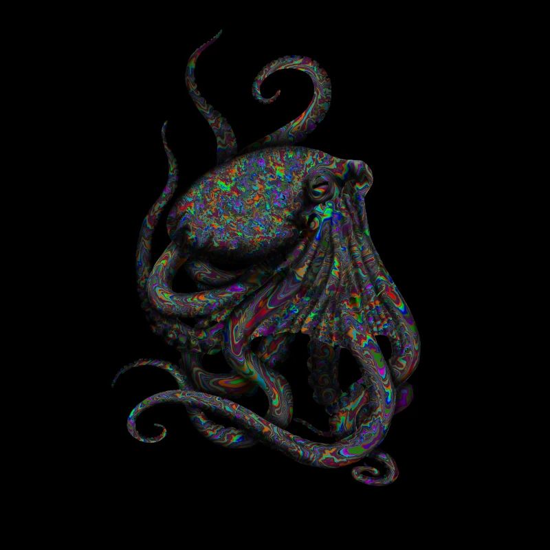Octopus Goa